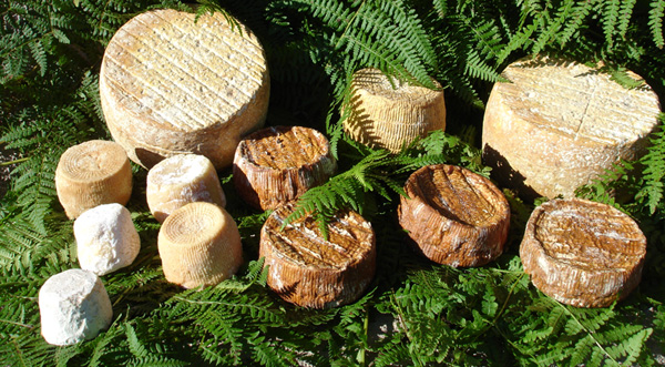 fromages-corses2.jpg